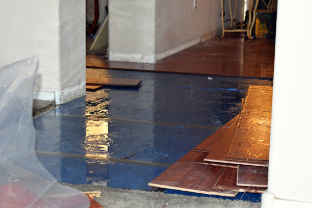 Professional Basement Water Removal technician working in Wellington, FL